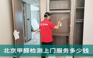 宁波除甲醛公司