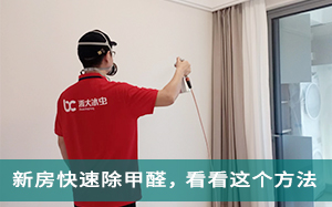 除甲醛公司去除甲醛和